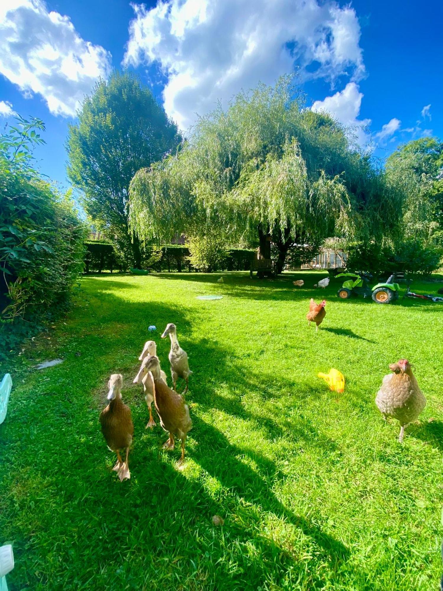 Le Clos De L'Ermitage Saint-Josse Exteriér fotografie